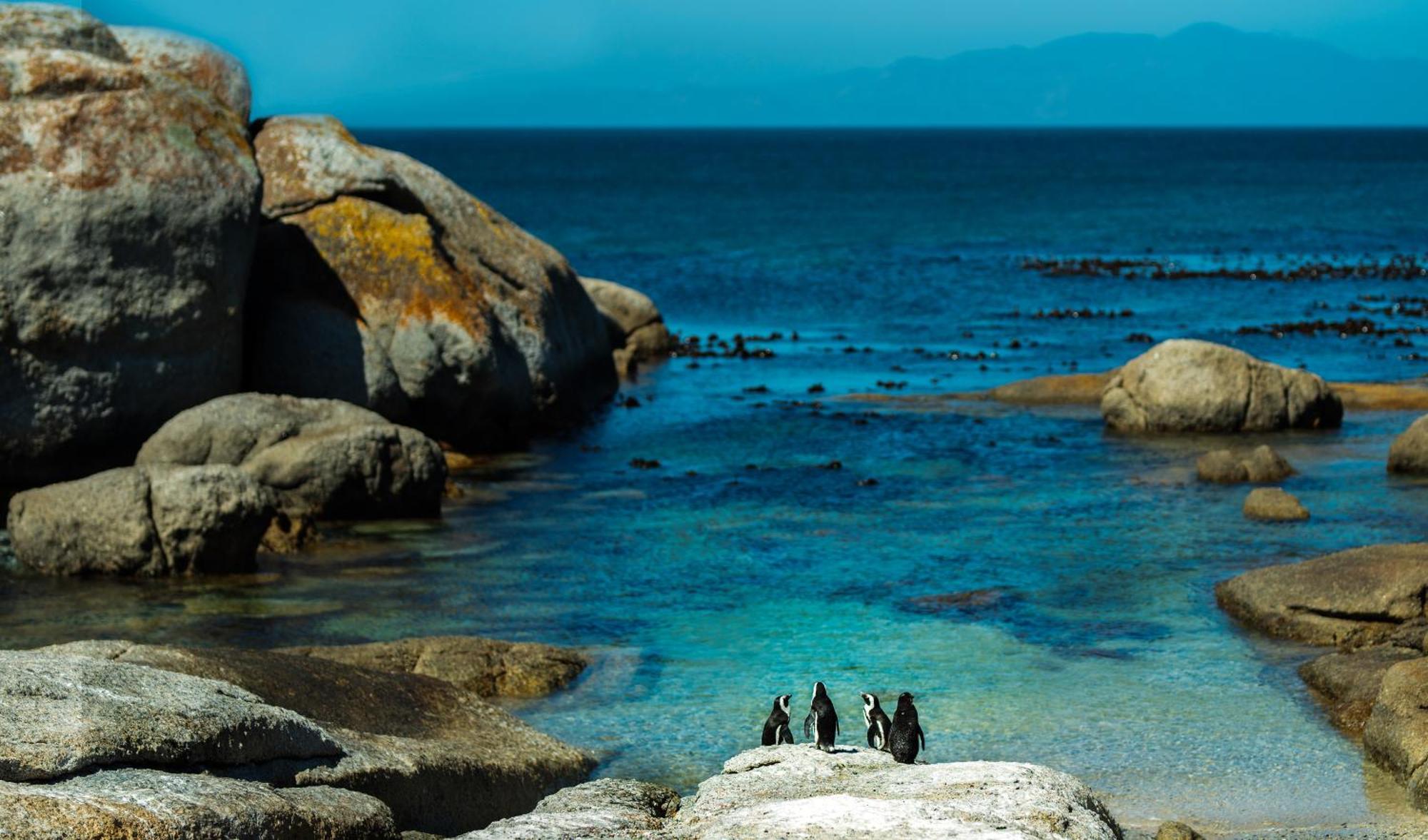 Eclectic Heritage Paradise Simon'S Town Luaran gambar