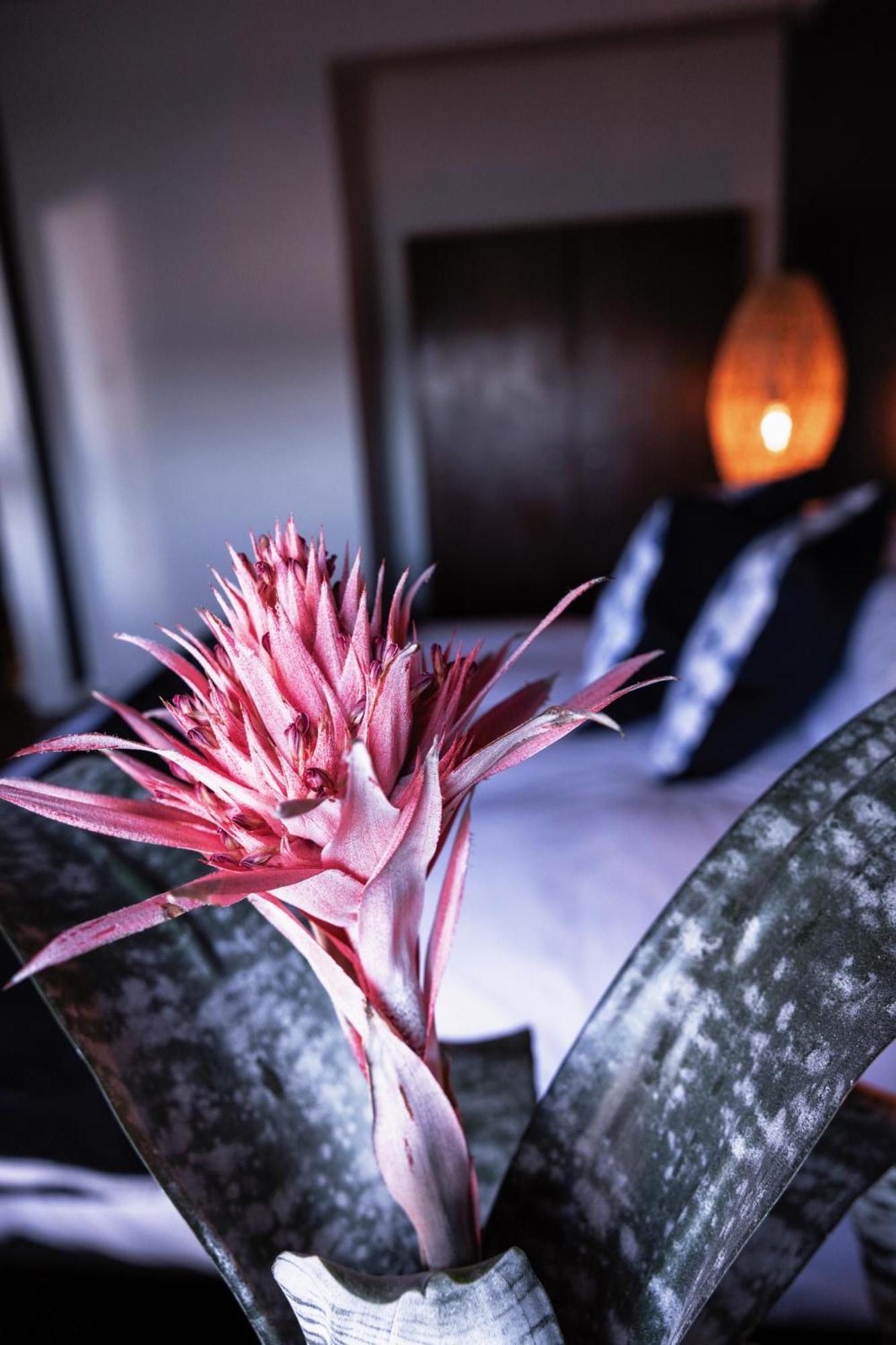 Eclectic Heritage Paradise Simon'S Town Luaran gambar
